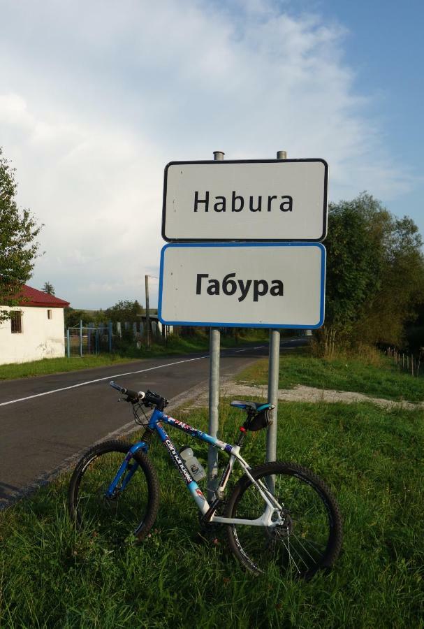 Penzion Alexander Laborcfő Kültér fotó